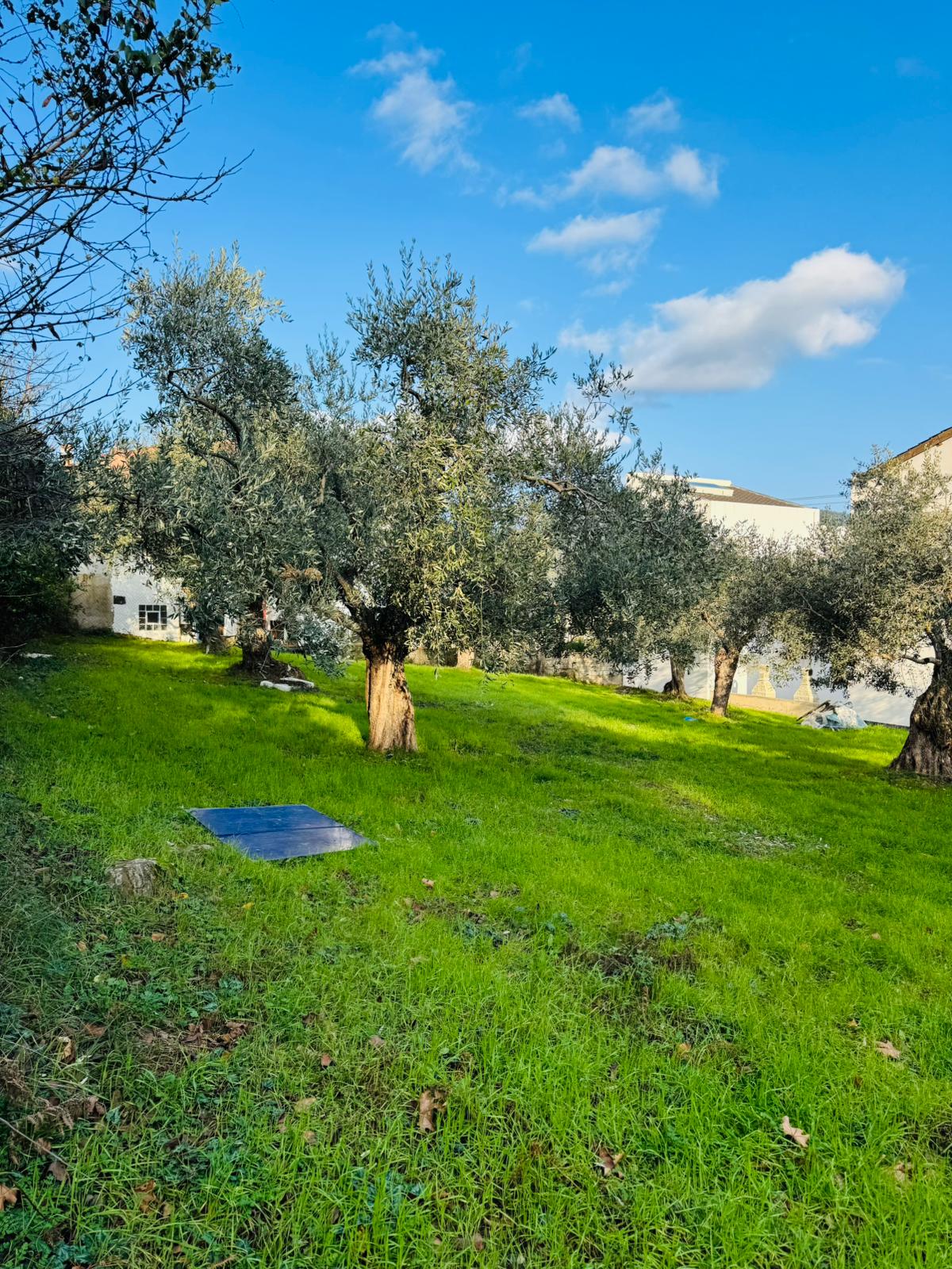 Real property view 6